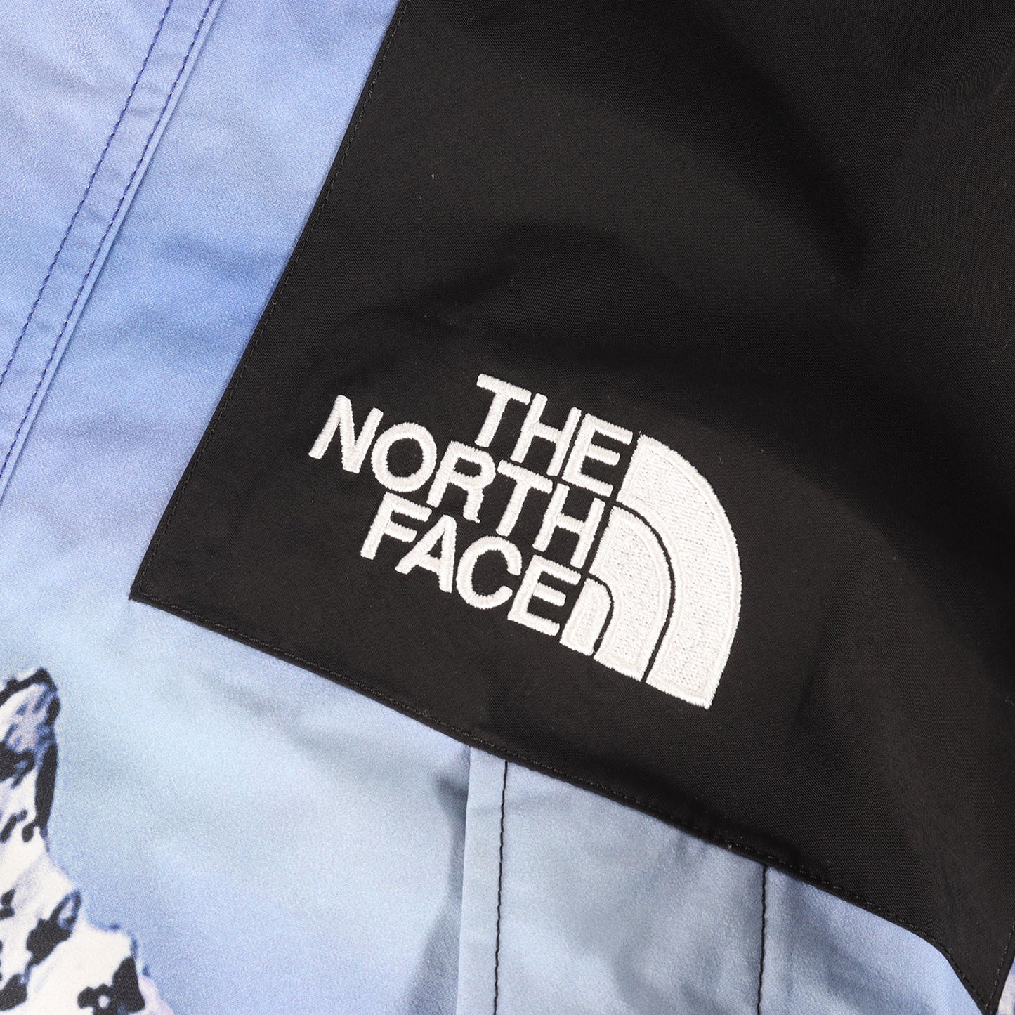 ×THE NORTH FACE 雪山 マウンテンパーカー / ジャケット(Mountain Parka)