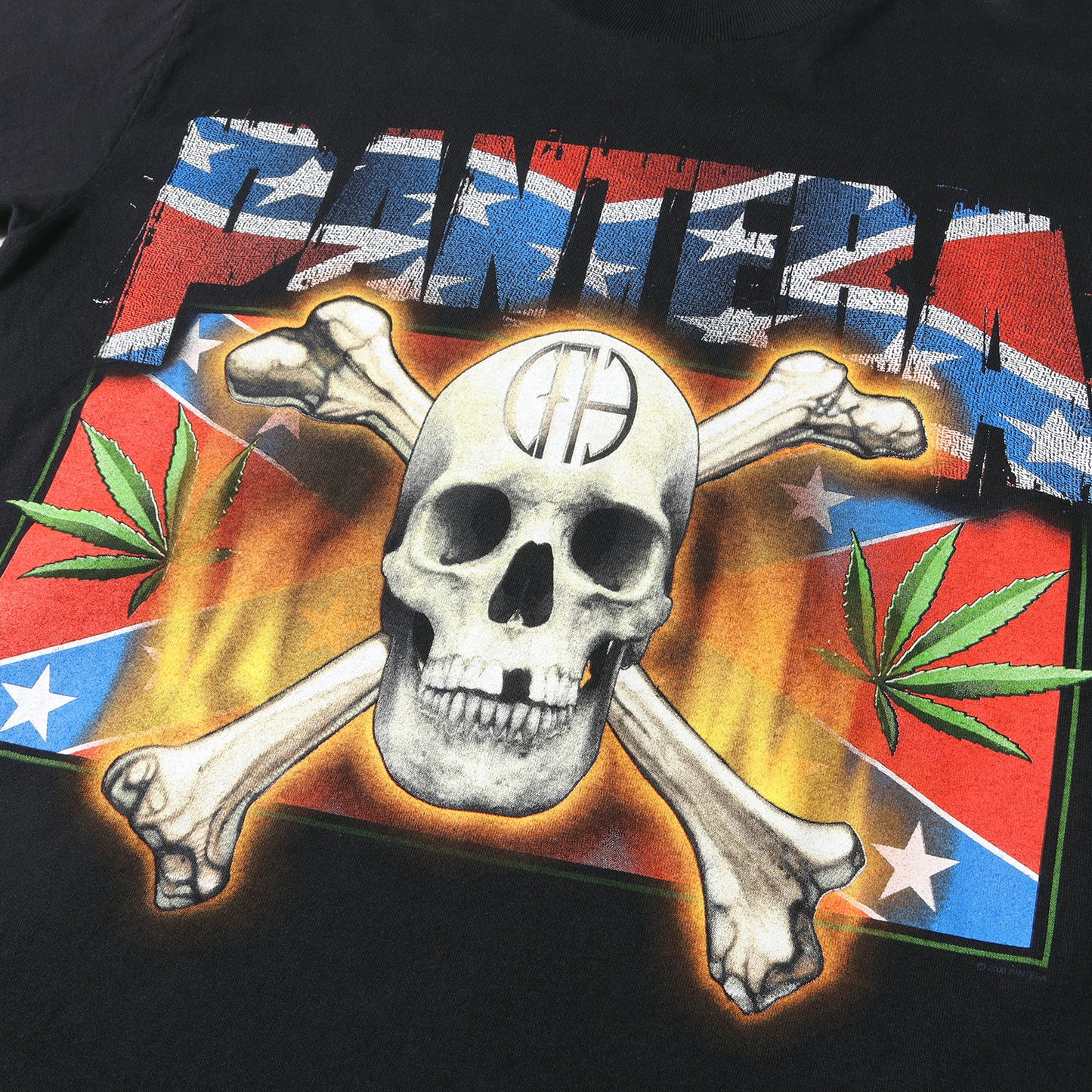 00s PANTERA ツアー Tシャツ / メキシコ製 WINTERLAND