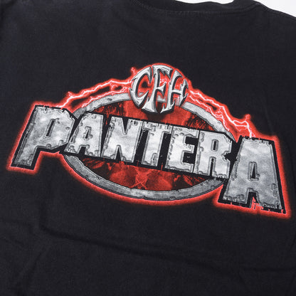 00s PANTERA スカル デザイン Tシャツ / メキシコ製 WINTERLAND