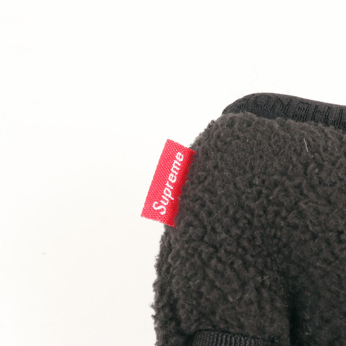 20SS ×THE NORTH FACE GORE-TEX RTG フリース グローブ / 手袋(Fleece Gloves)