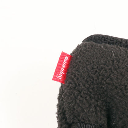 20SS ×THE NORTH FACE GORE-TEX RTG フリース グローブ / 手袋(Fleece Gloves)