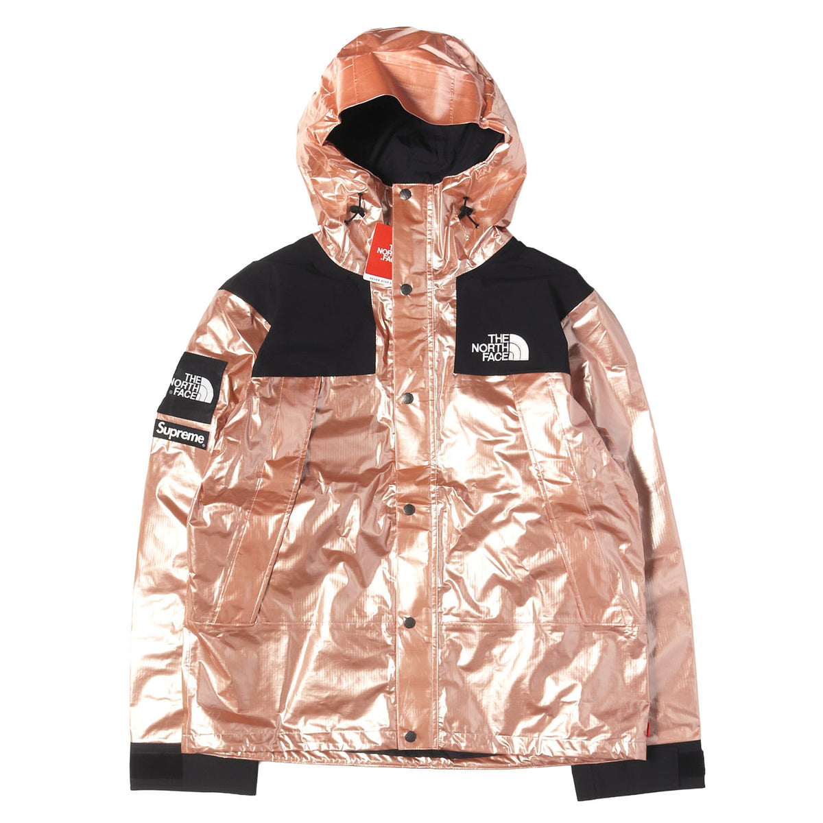 ×THE NORTH FACE メタリック マウンテンパーカー(Metallic Mountain Parka)