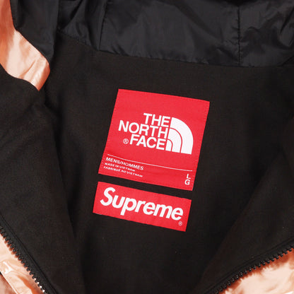 ×THE NORTH FACE メタリック マウンテンパーカー(Metallic Mountain Parka)