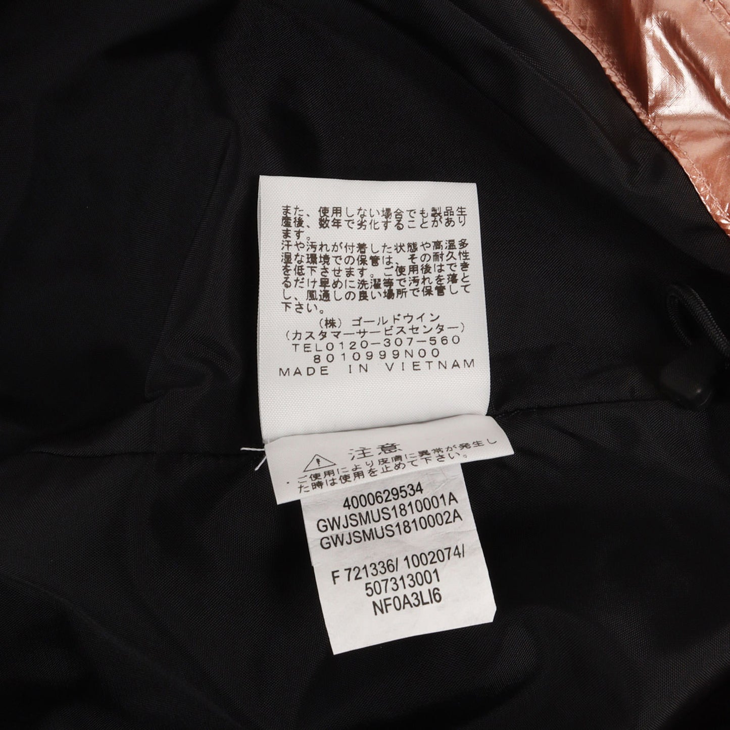 ×THE NORTH FACE メタリック マウンテンパーカー(Metallic Mountain Parka)