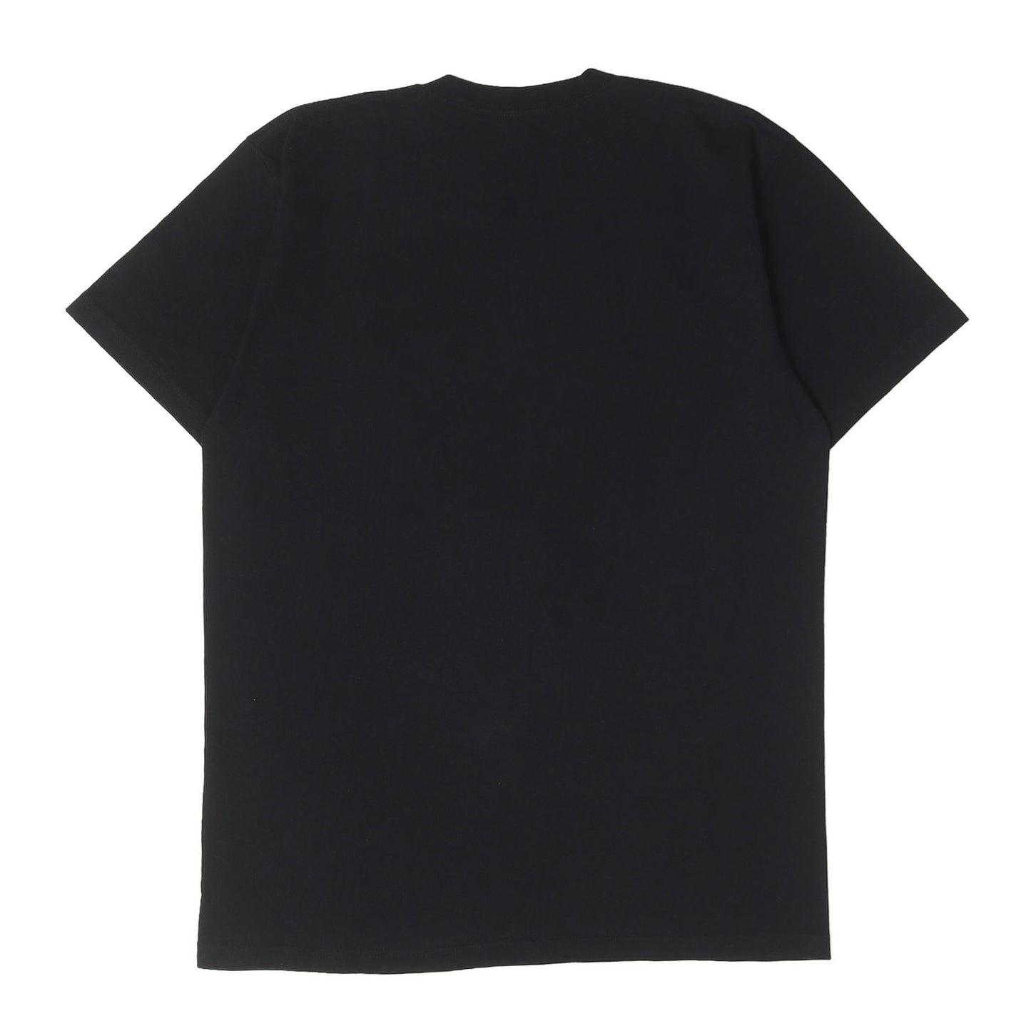 シャーデー・アデュ フォト Tシャツ(Sade Tee)
