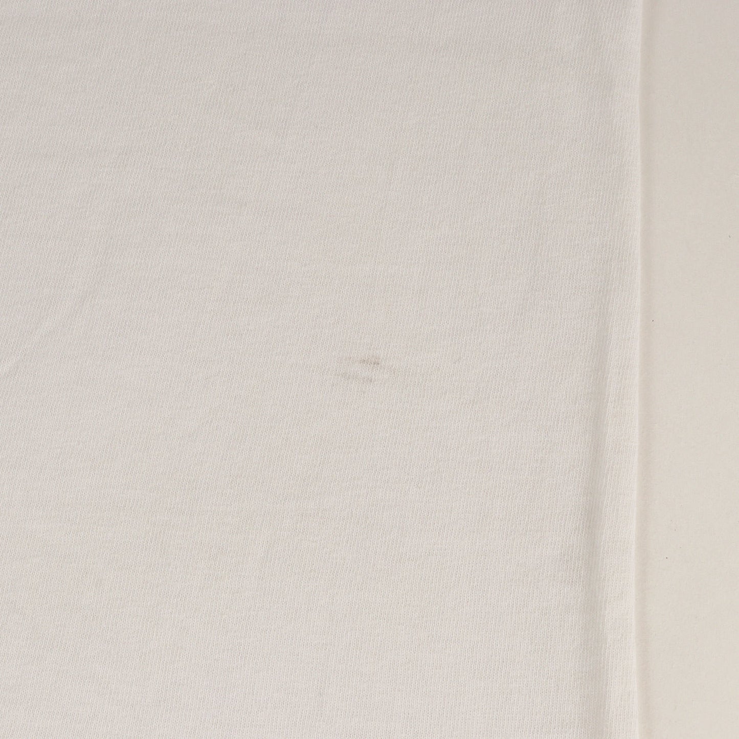 90s OLD STUSSY 紺タグ ビーチグラフィック Tシャツ(USA製)