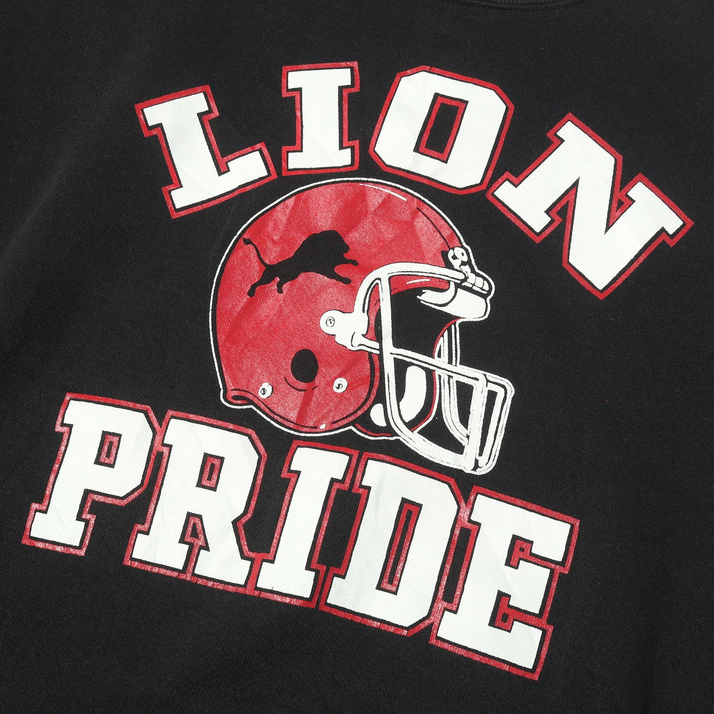 90s LION PRIDE クルーネック スウェット / USA製 JERZEES