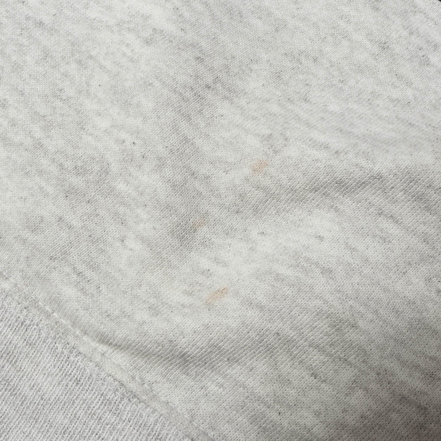90s カレッジプリント クルーネック スウェット / メキシコ製 Hanes