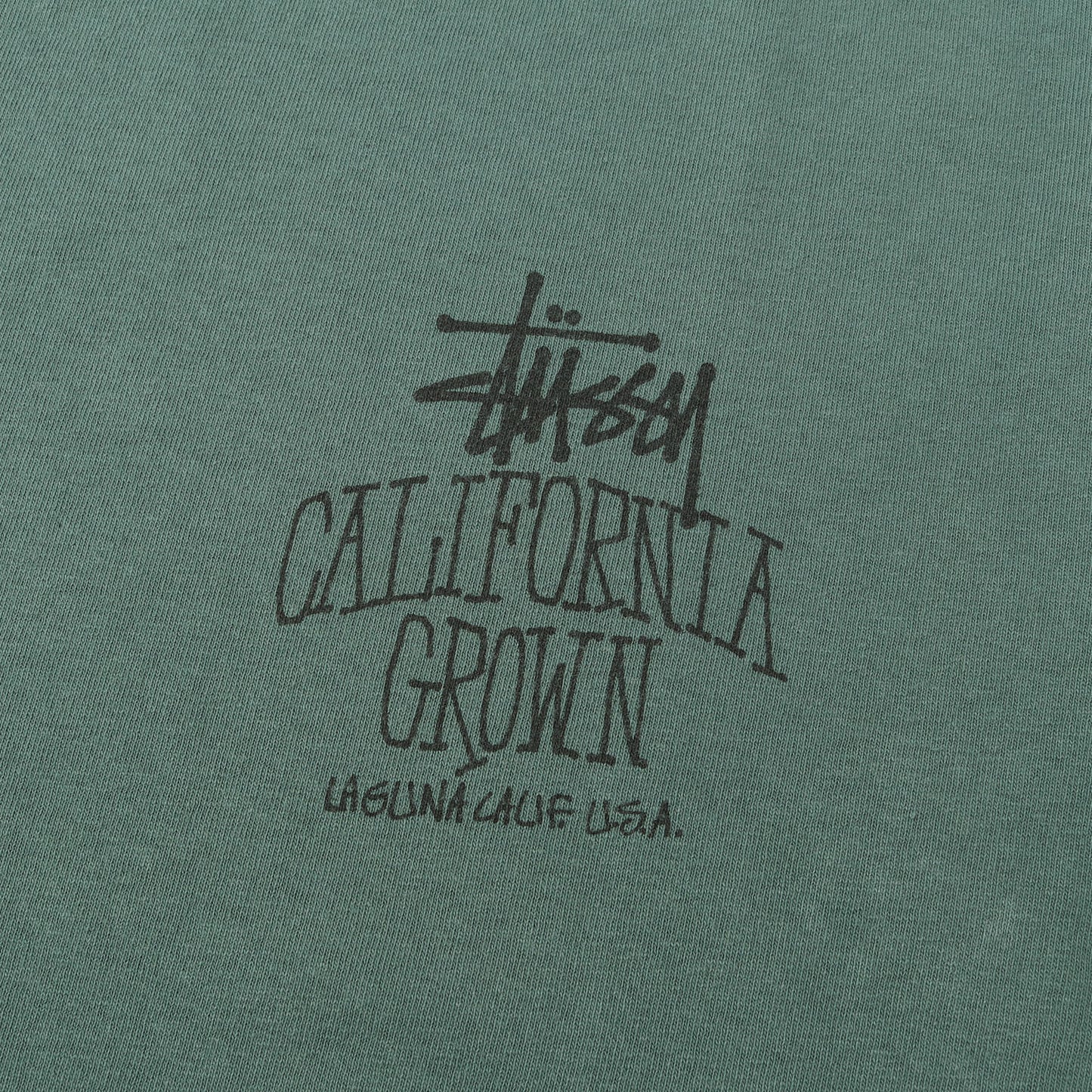 25SS ピグメントダイ加工 ストックロゴ Tシャツ(Cali Grown Tee Pigment Dyed Tee)