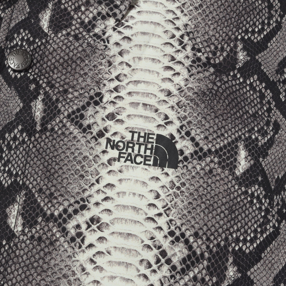 ×THE NORTH FACE スネーク柄 コーチジャケット(Snakeskin Taped Seam Coaches Jacket)