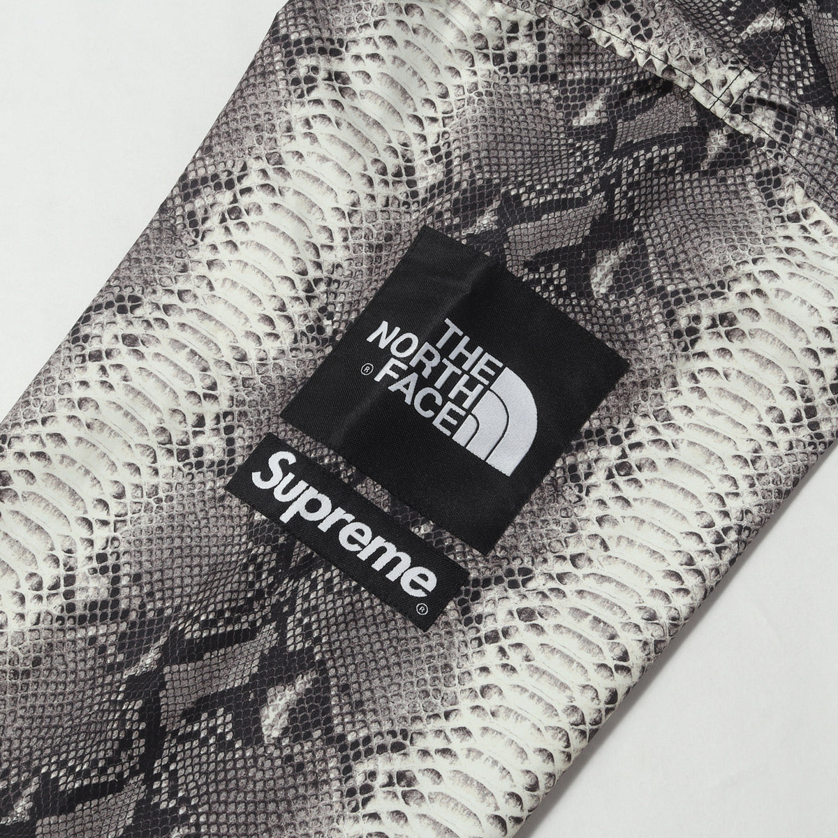 ×THE NORTH FACE スネーク柄 コーチジャケット(Snakeskin Taped Seam Coaches Jacket)