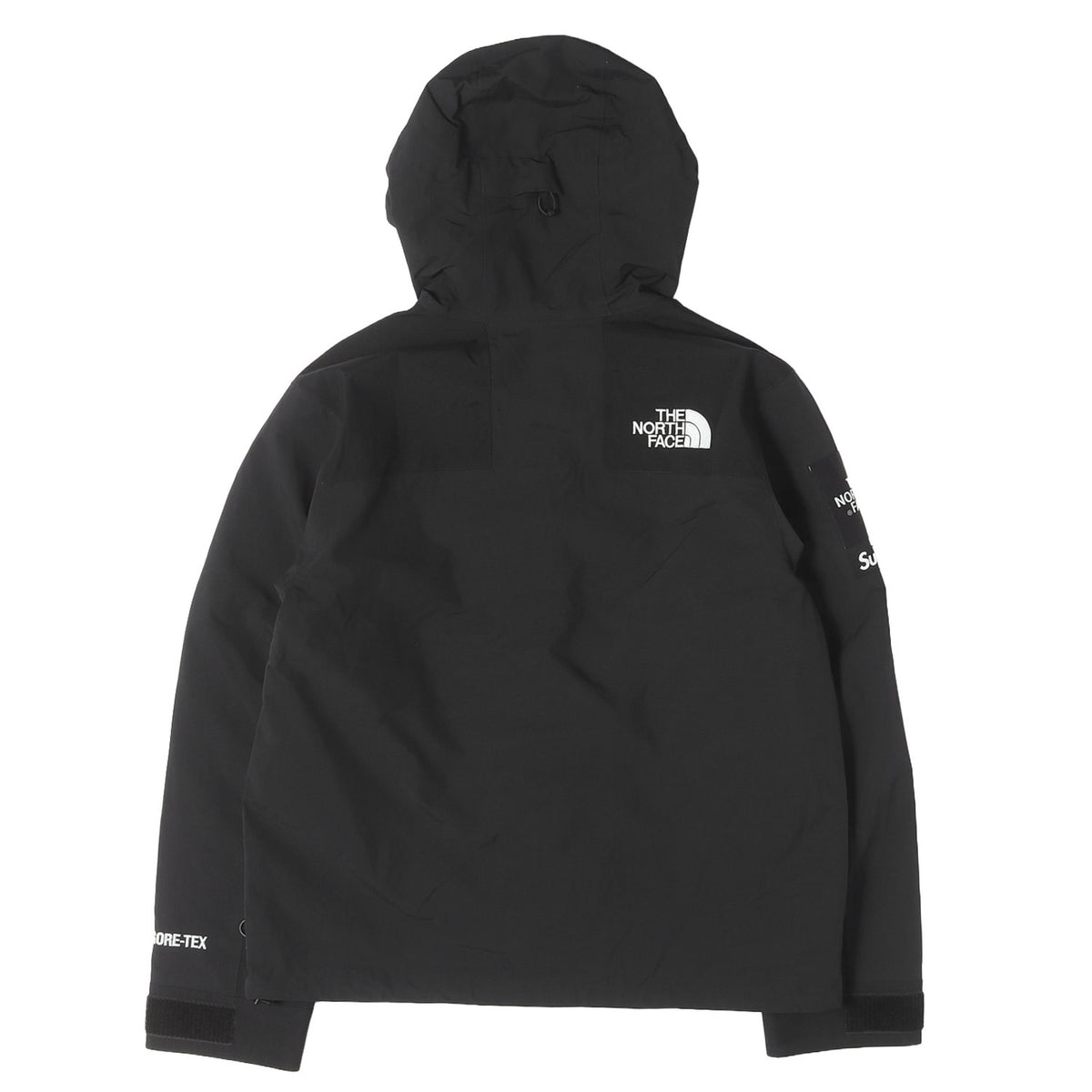 ×THE NORTH FACE GORE-TEX アーチロゴ マウンテンパーカー(Arc Logo Mountain Parka)