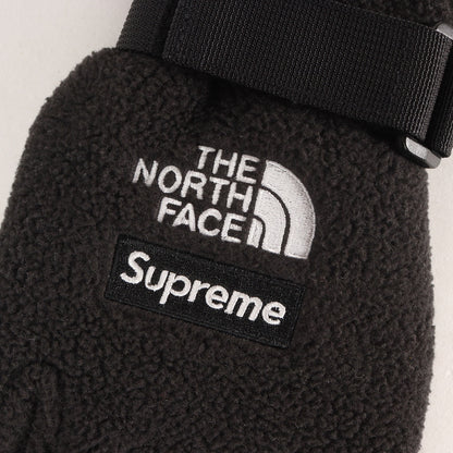 20SS ×THE NORTH FACE GORE-TEX RTG フリース グローブ / 手袋(Fleece Gloves)