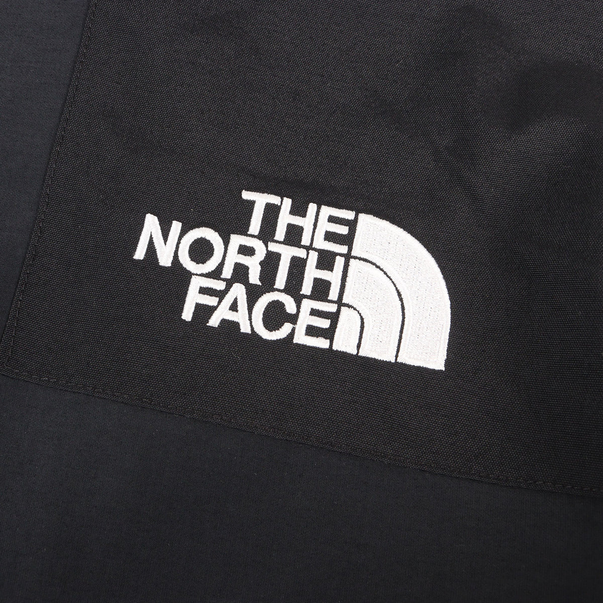 ×THE NORTH FACE GORE-TEX アーチロゴ マウンテンパーカー(Arc Logo Mountain Parka)
