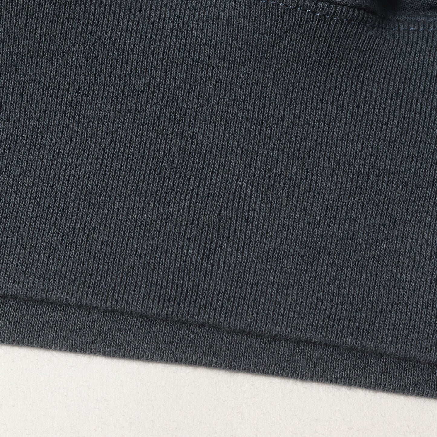 半袖 スウェット Tシャツ (SUPER HIGH GAUZE NAPPED SWEAT TEE A21SP02NU) / ミニ裏毛