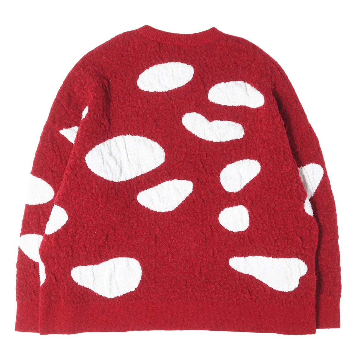23AW マッシュルーム テクニカルニット セーター (Mushroom Sweater in Technical Wool)