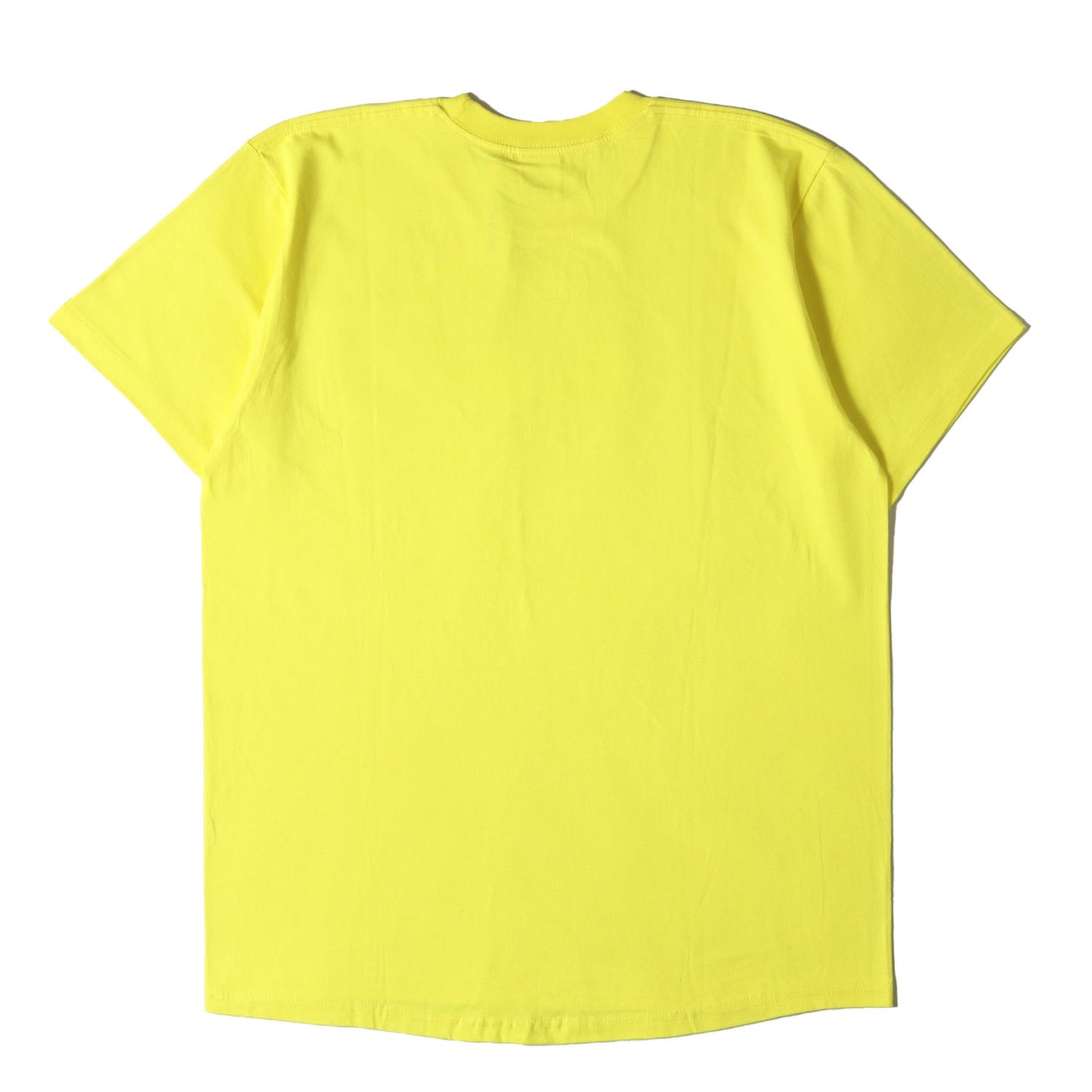 19AW バンダナ BOXロゴ Tシャツ (Bandana Box Logo Tee)