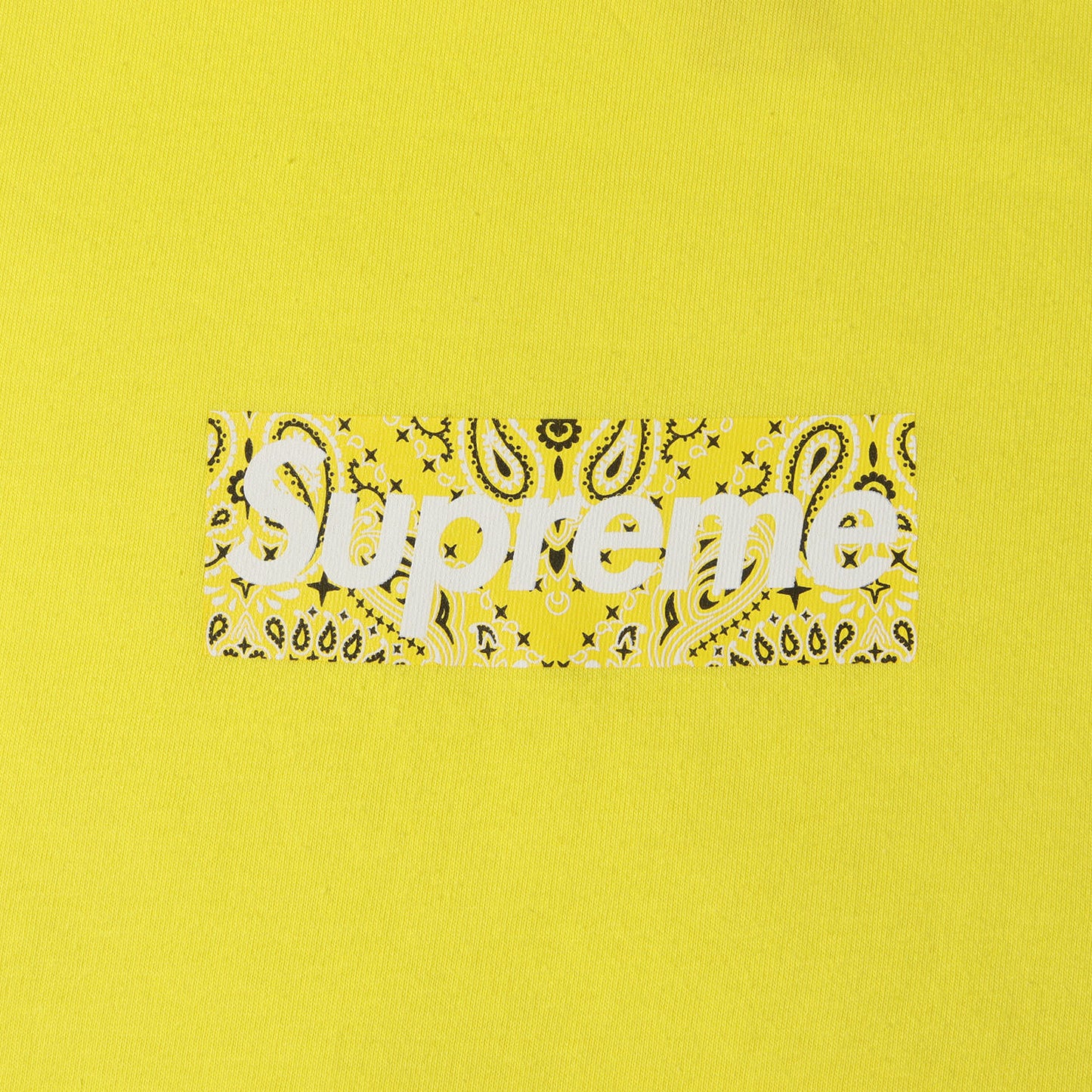 19AW バンダナ BOXロゴ Tシャツ (Bandana Box Logo Tee)