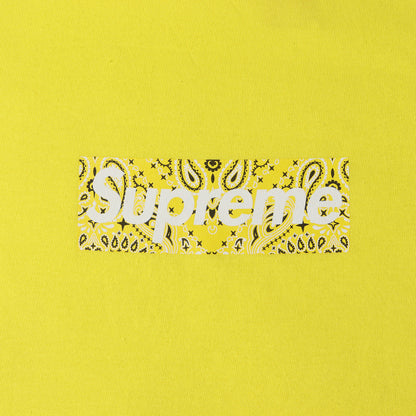 19AW バンダナ BOXロゴ Tシャツ (Bandana Box Logo Tee)