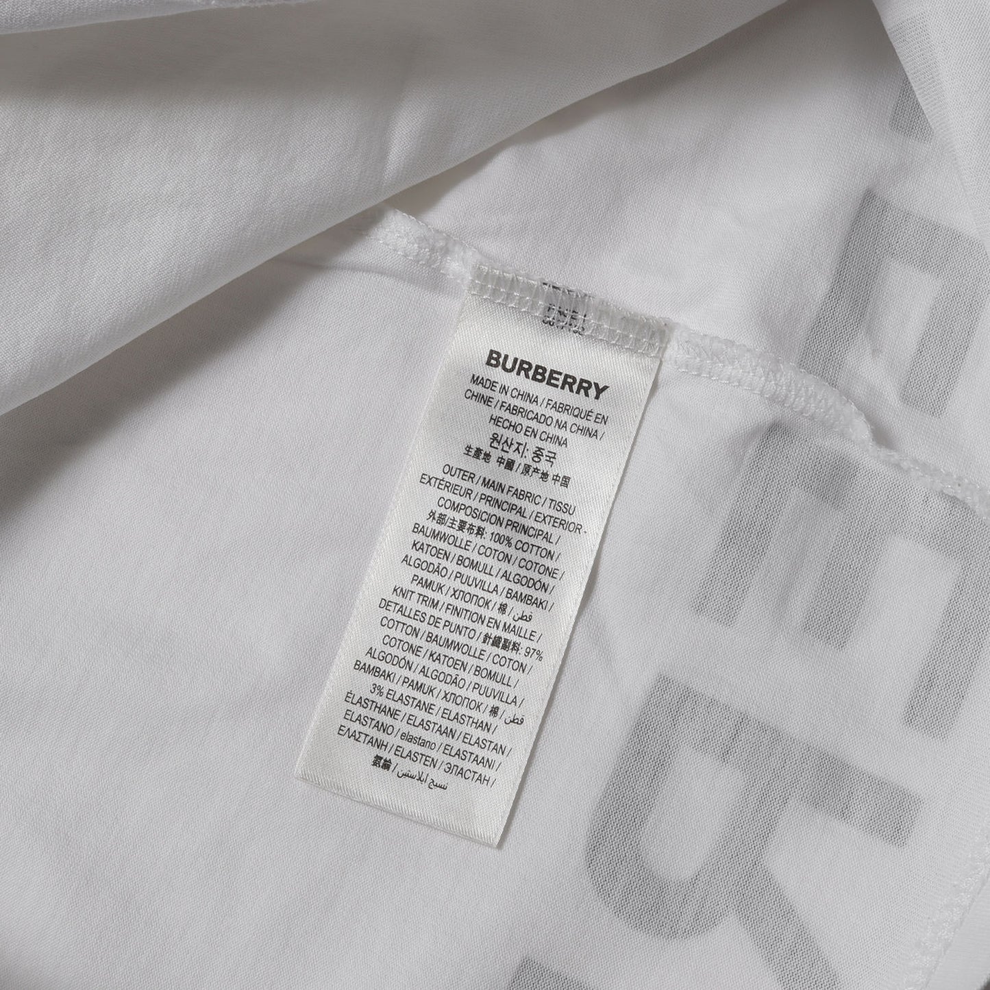 21SS ティッシ期 ホースフェリー マルチロゴ Tシャツ
