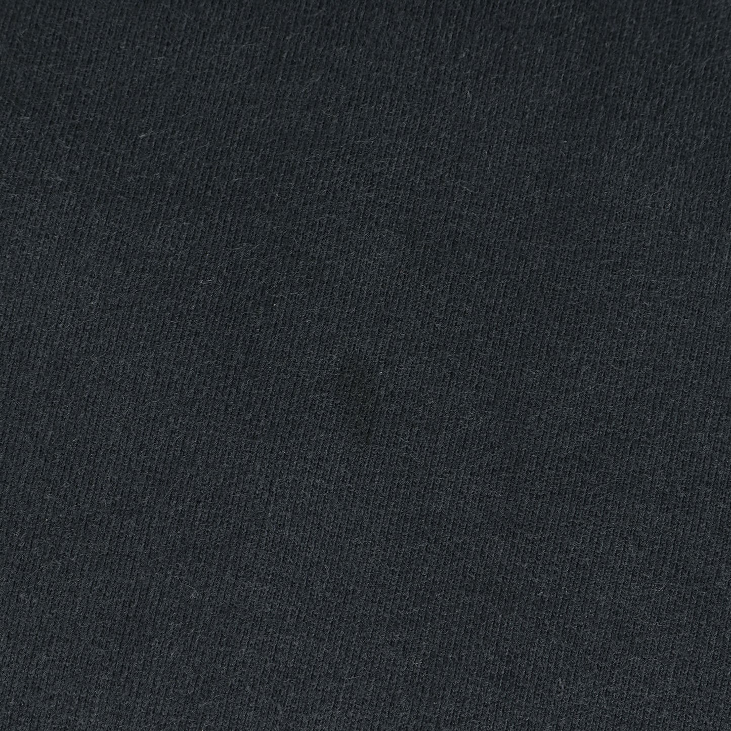 22AW ×Travis Scott カクタスジャック ロゴ刺繍 オーバーサイズ スウェット (Oversized Cactus Jack Dior Sweatshirt)