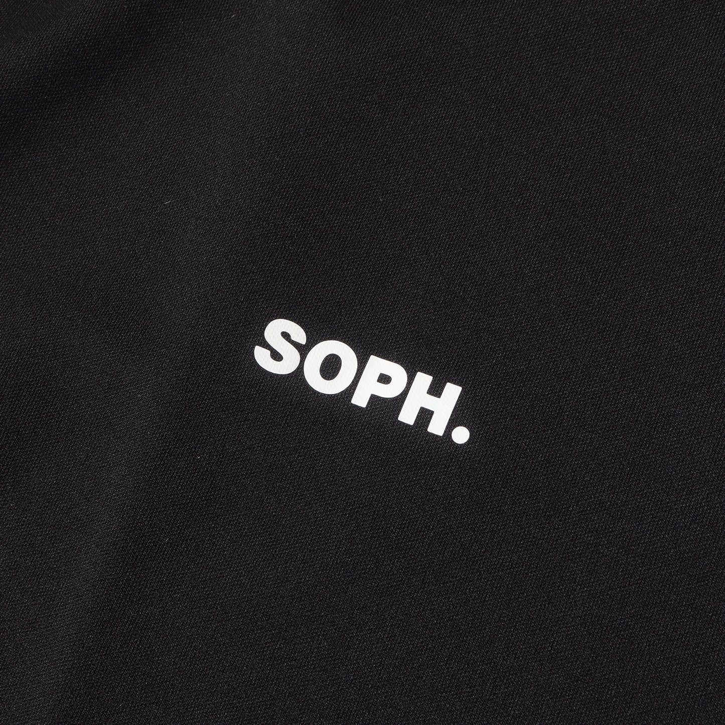 ビッグロゴ チーム モックネック Tシャツ (S/S TEAM MOCK NECK TOP)