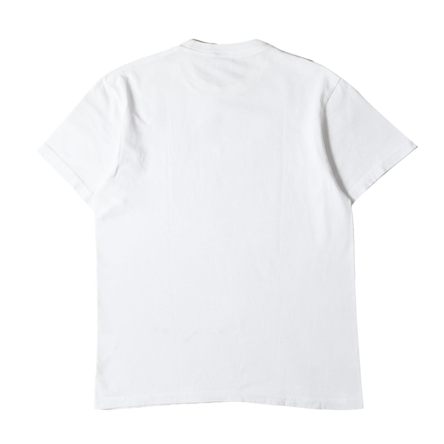 19AW バンダナ BOXロゴ Tシャツ (Bandana Box Logo Tee)