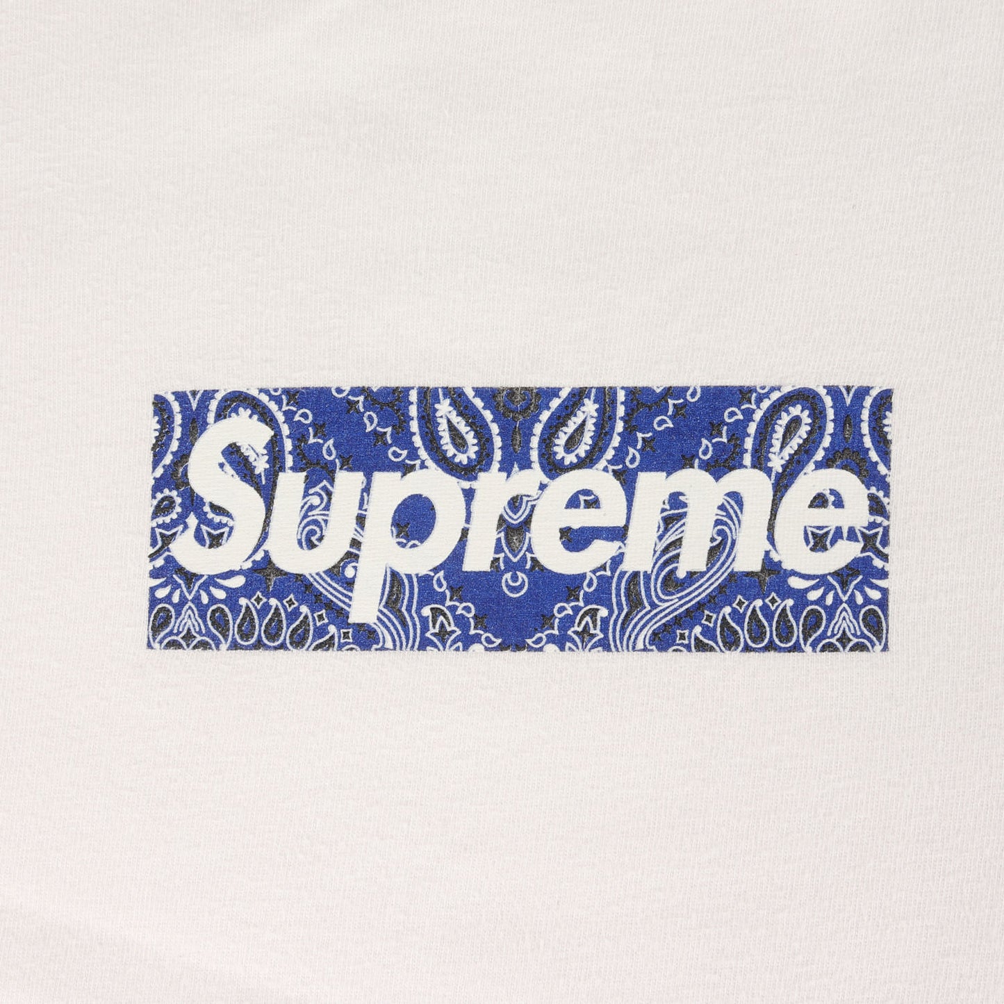 19AW バンダナ BOXロゴ Tシャツ (Bandana Box Logo Tee)