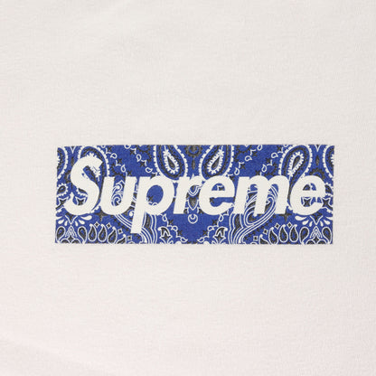 19AW バンダナ BOXロゴ Tシャツ (Bandana Box Logo Tee)