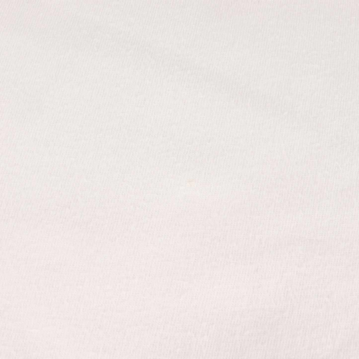 19AW バンダナ BOXロゴ Tシャツ (Bandana Box Logo Tee)
