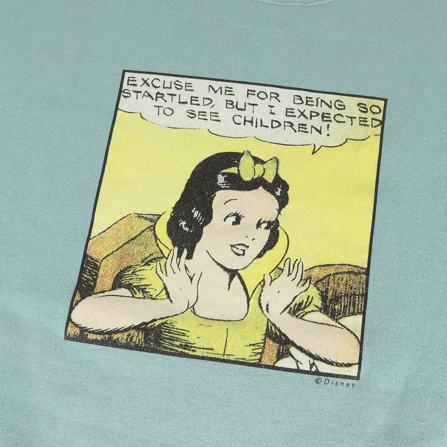 BEAUTY&YOUTH別注 ×Disney 白雪姫 オーバーサイズ クルーネック スウェット