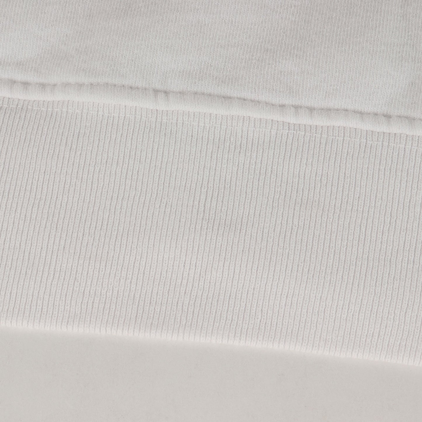 [近年モデル] ×Interscope Records コラボロゴ クルーネック スウェット (CREWNECK SWEAT)