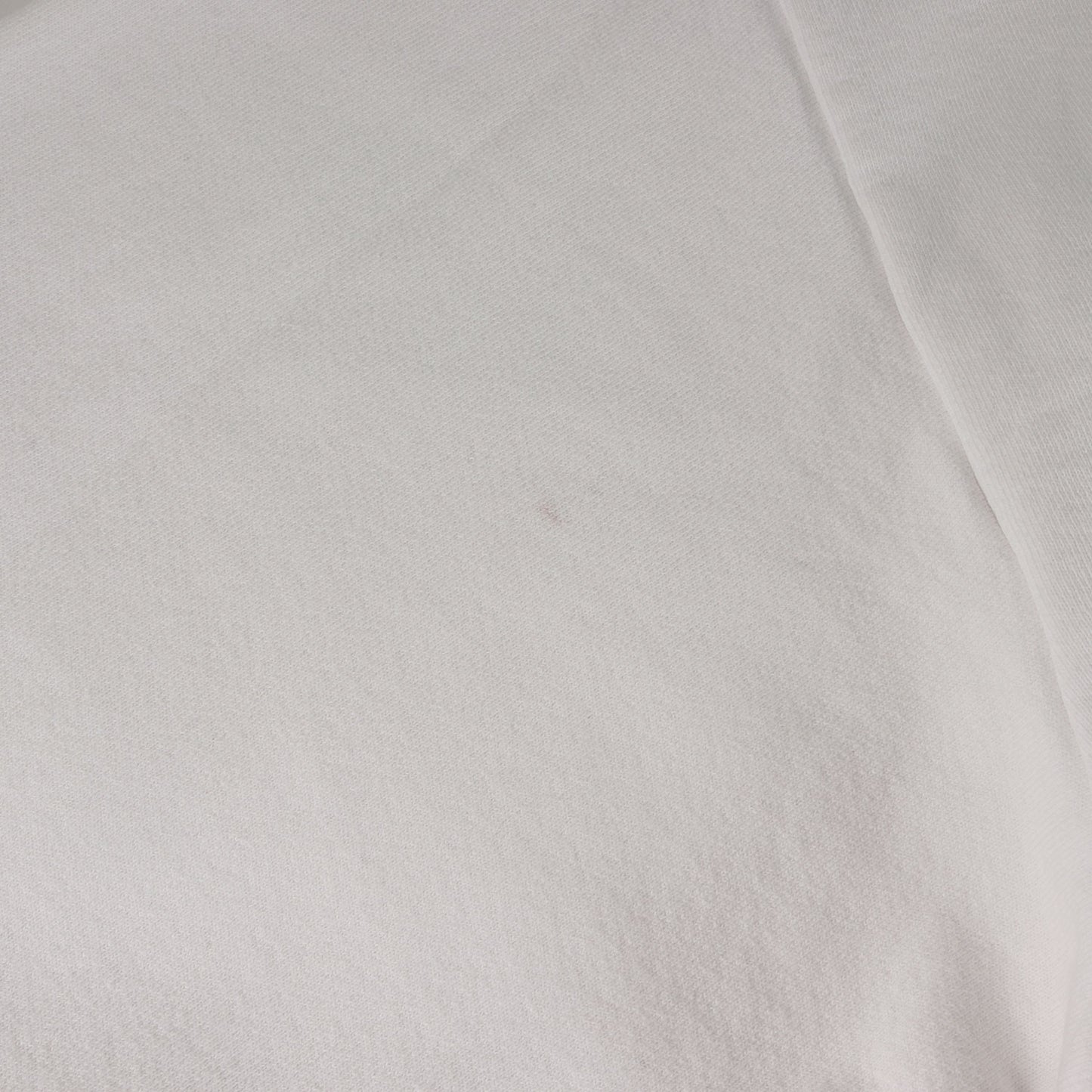 [近年モデル] ×Interscope Records コラボロゴ クルーネック スウェット (CREWNECK SWEAT)