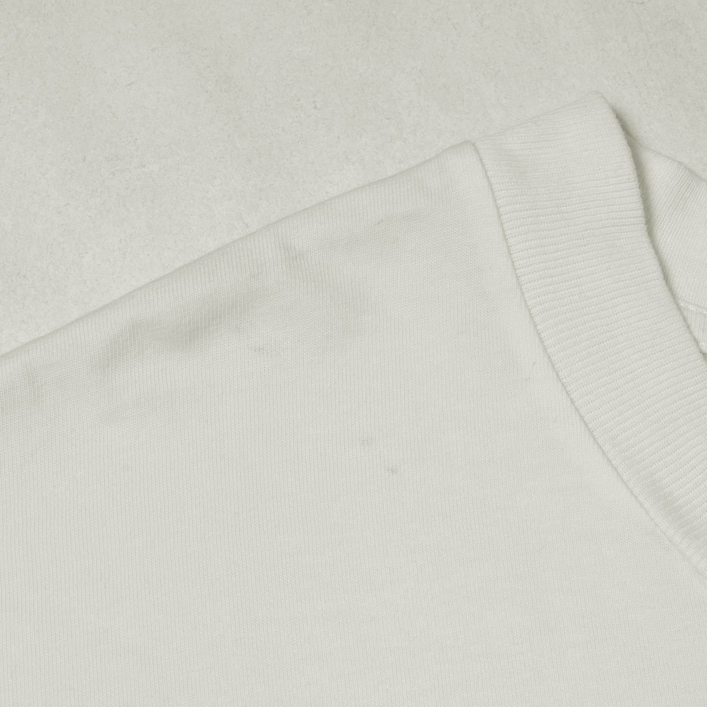 21SS レッドテープ カレンダーロゴ クルーネック Tシャツ (S29GC0296 S23935)