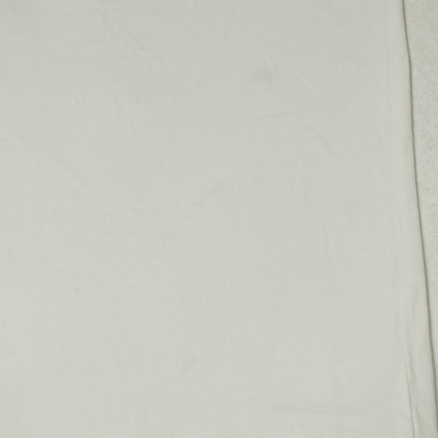 21SS レッドテープ カレンダーロゴ クルーネック Tシャツ (S29GC0296 S23935)