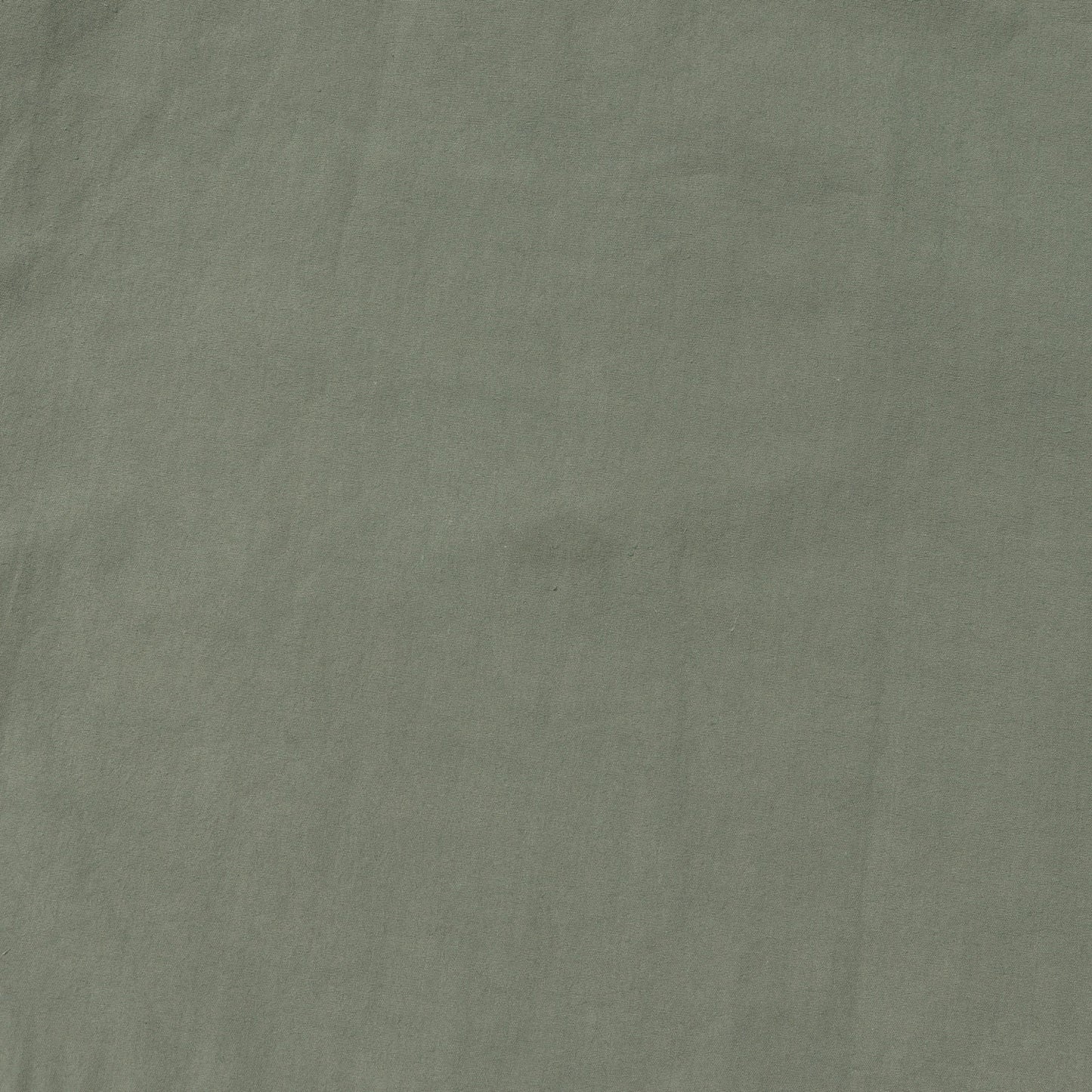 23SS コットン イージーショーツ(Knee Length Shorts)