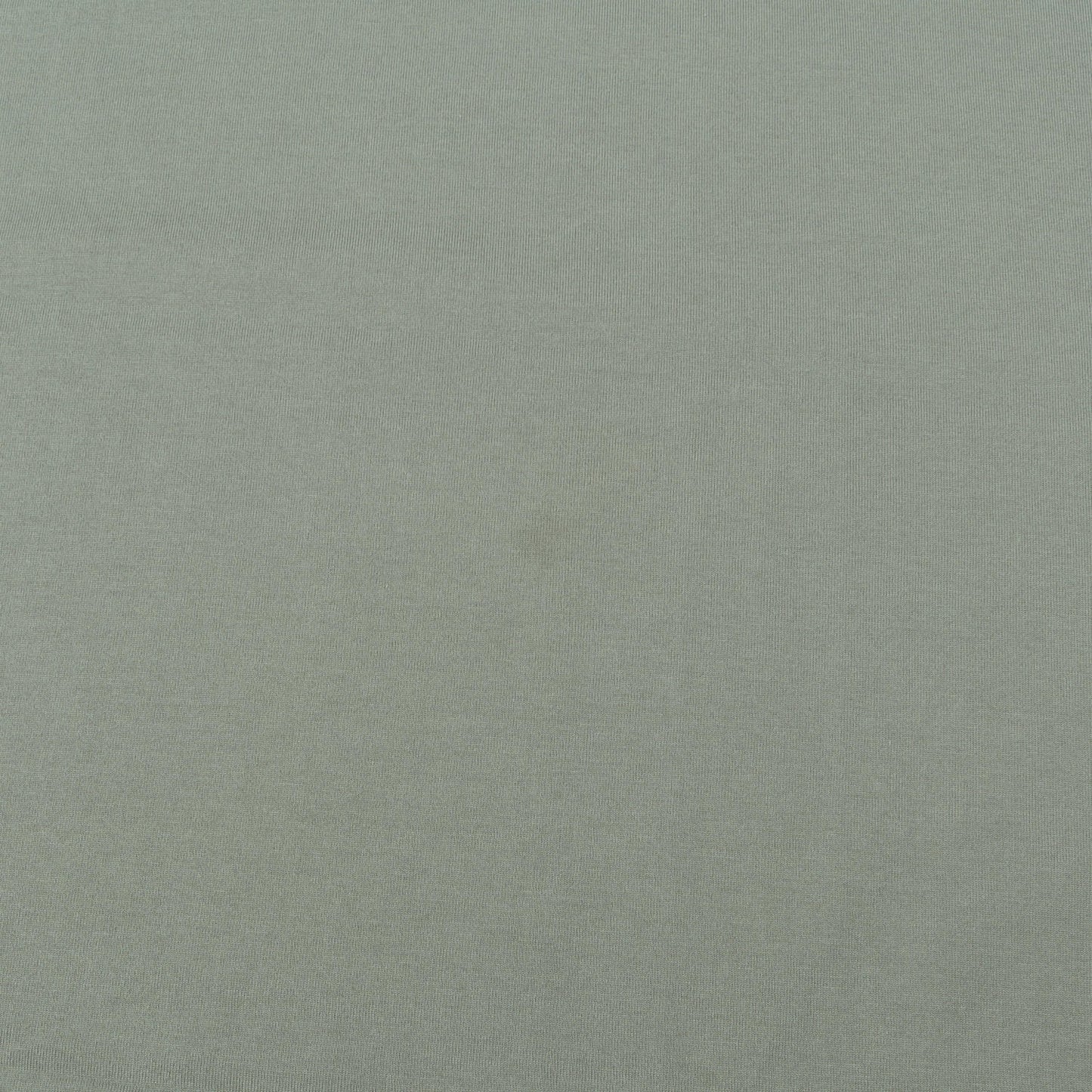 25AW ブランドロゴ クルーネック Tシャツ(SIGNATURE TEE)