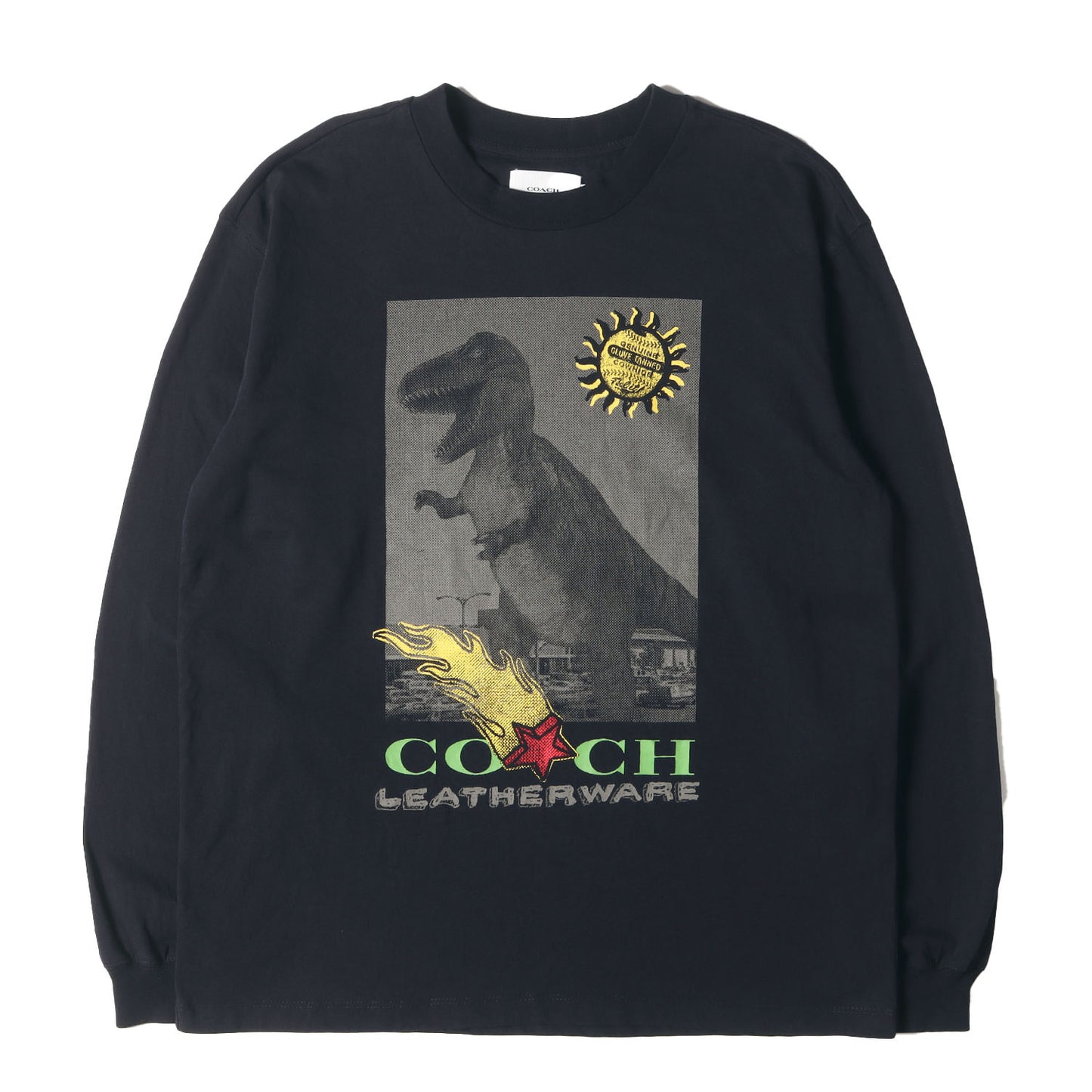 恐竜グラフィック ロングスリーブ Tシャツ