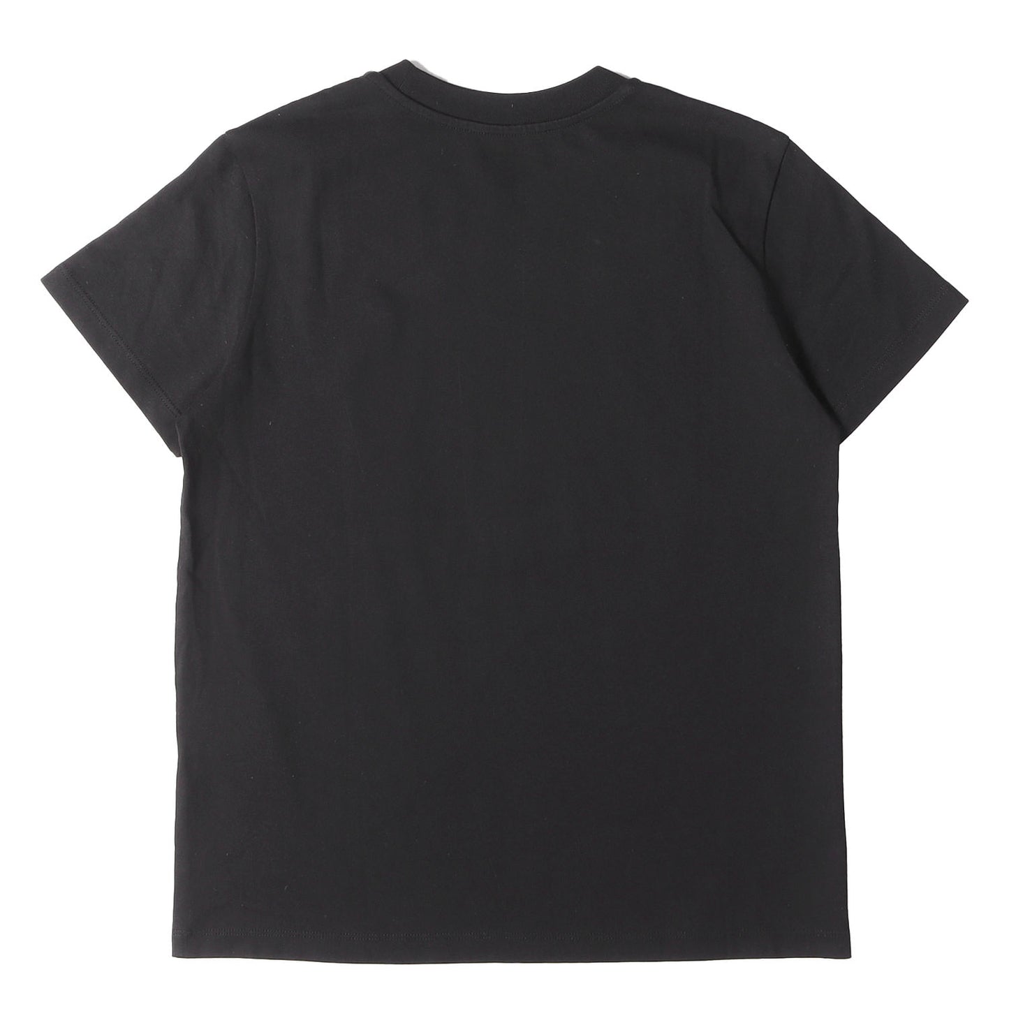 22SS スプレーロゴマーク クルーネック Tシャツ(SS T-SHIRT)
