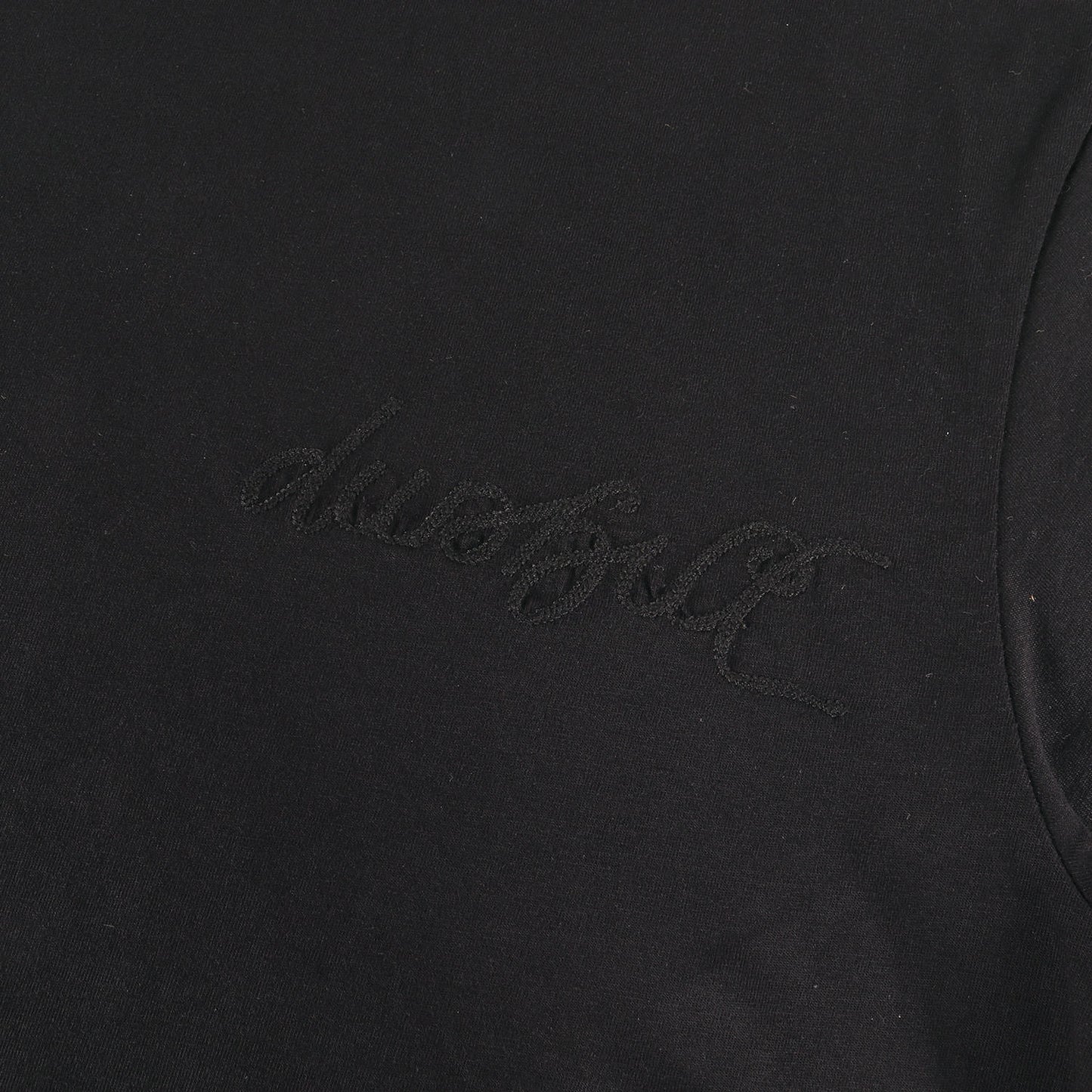 近年モデル チェーン刺繍ロゴ クルーネック Tシャツ