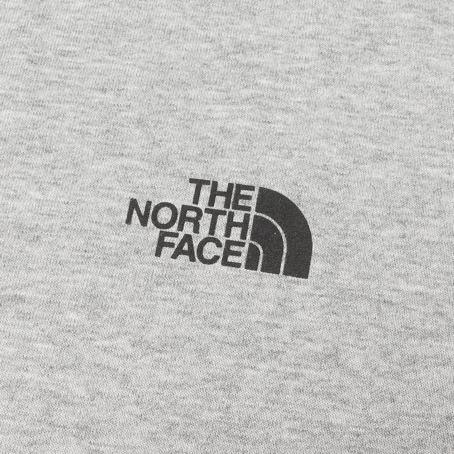 24SS グラフィックプリント Tシャツ(S/S Natural Phenomenon Tee)