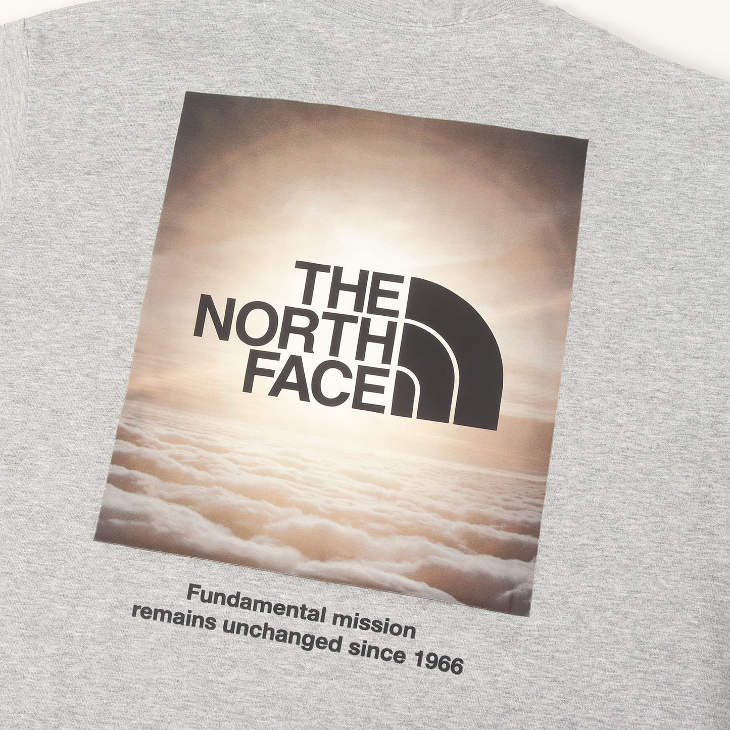 24SS グラフィックプリント Tシャツ(S/S Natural Phenomenon Tee)