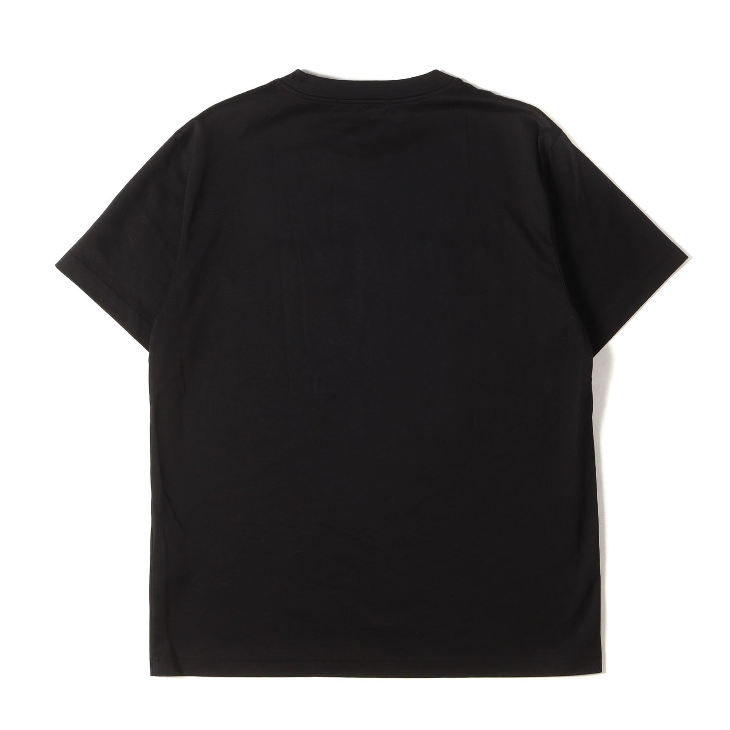 24SS 発泡プリントロゴ クルーネック Tシャツ(ANICETO)