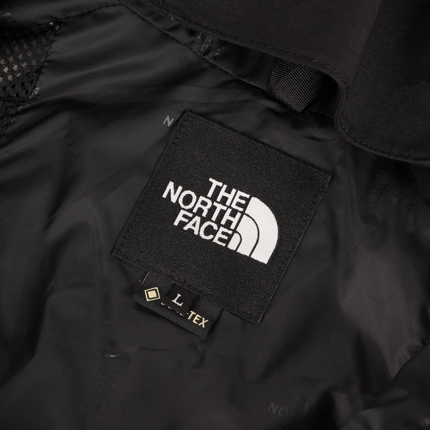 GORE-TEX マウンテン ライト ジャケット (Mountain Light Jacket)