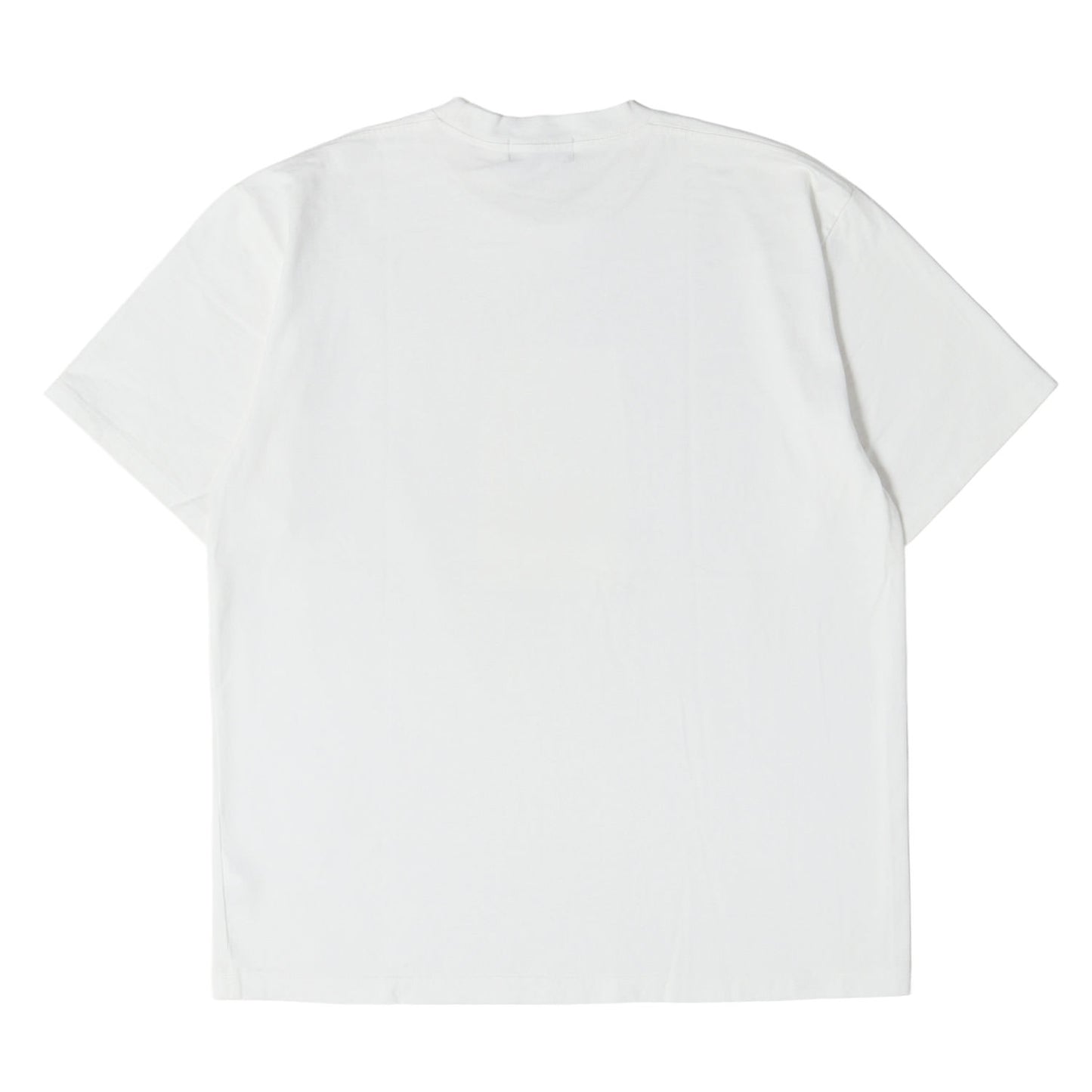クリスティーナ・アギレラ フォト ヘビー Tシャツ