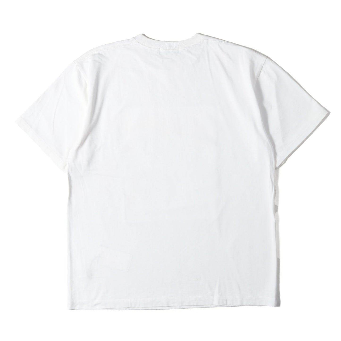 レディー フォト ヘビー Tシャツ