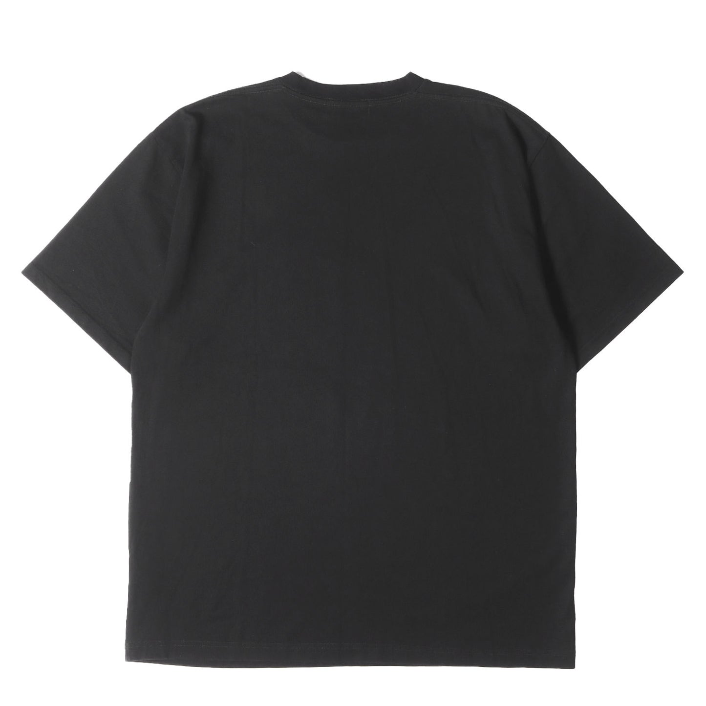 レディー フォト ヘビー Tシャツ