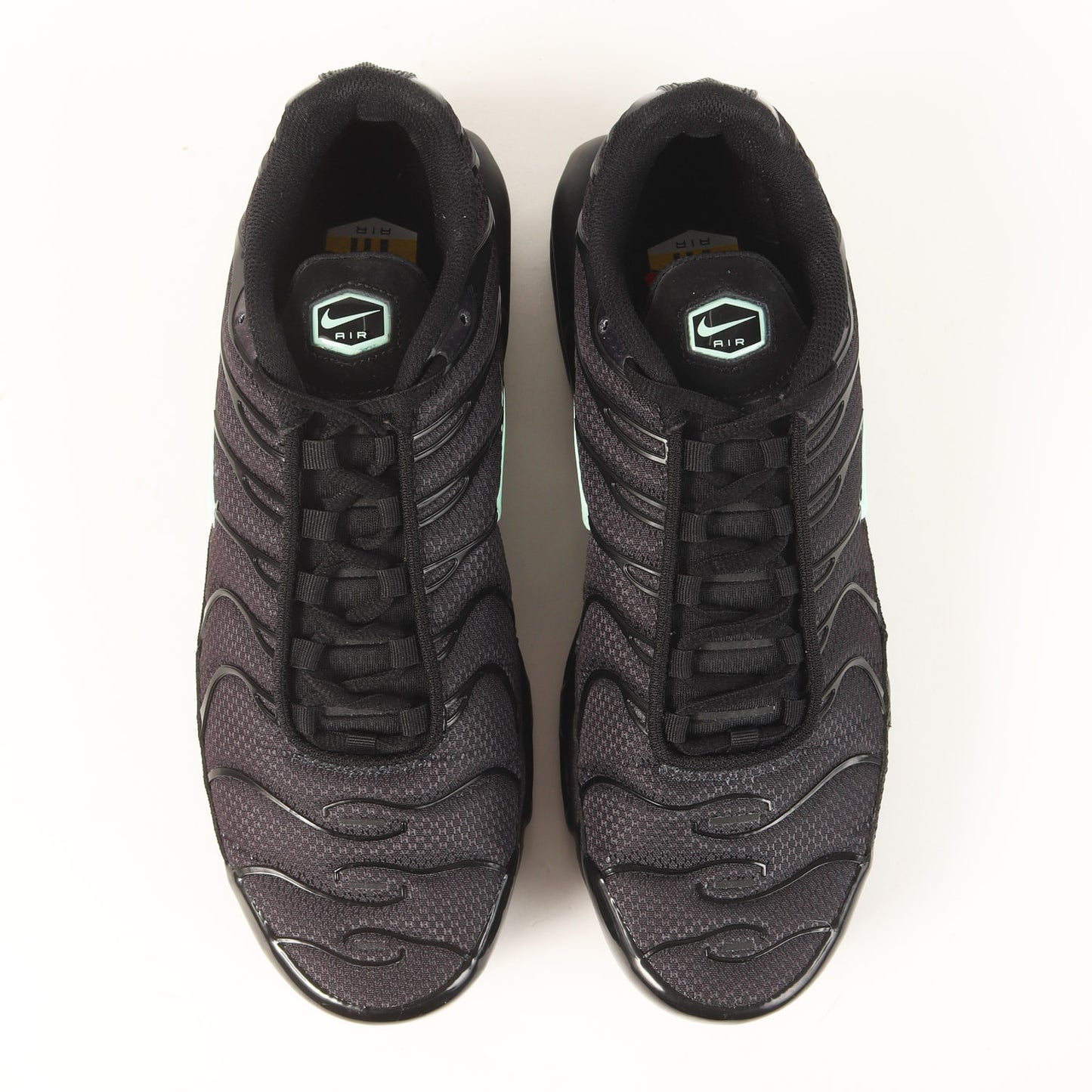 AIR MAX PLUS BLACK MINT (DM0032-029)