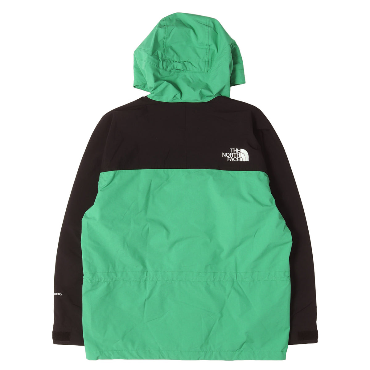 GORE-TEX マウンテン ライト ジャケット (Mountain Light Jacket)