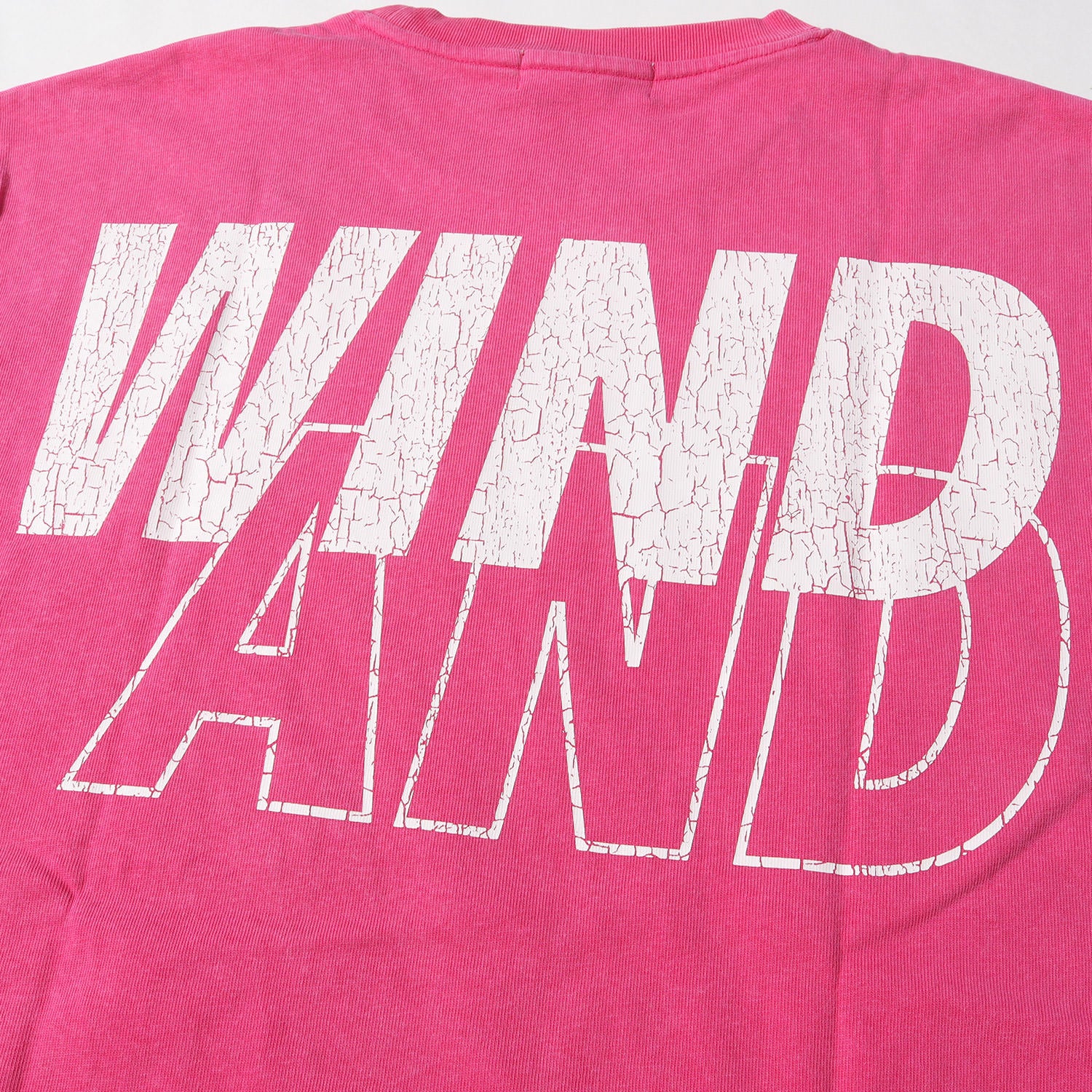 WIND AND SEA (ウィンダンシー) 23SS ピグメントダイ クラック加工 ロゴ ヘビーウェイト Tシャツ (SEA CRACK P DYE  TEE WDS-O-SEA-23-Q4-CS-01) - ブランド古着の通販・買取 | BEEGLE by Boo-Bee